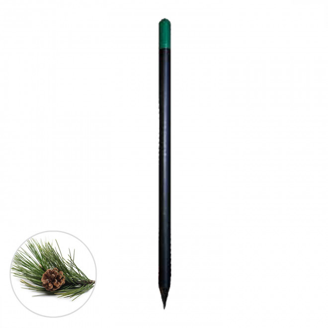 CRAYON A GRAINES PERSONNALISABLE 'SID BLACK' - Pin