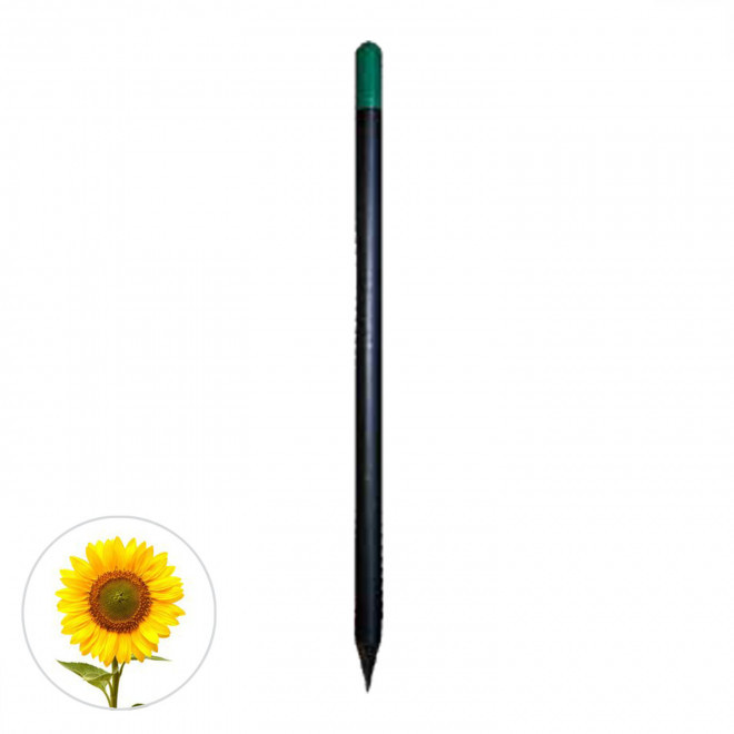CRAYON A GRAINES PERSONNALISABLE 'SID BLACK' - tournesol
