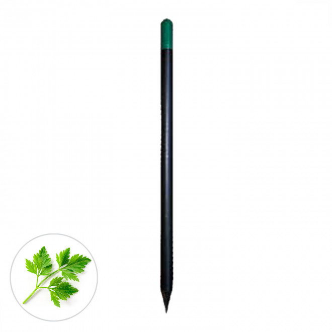 CRAYON A GRAINES PERSONNALISABLE 'SID BLACK' - persil