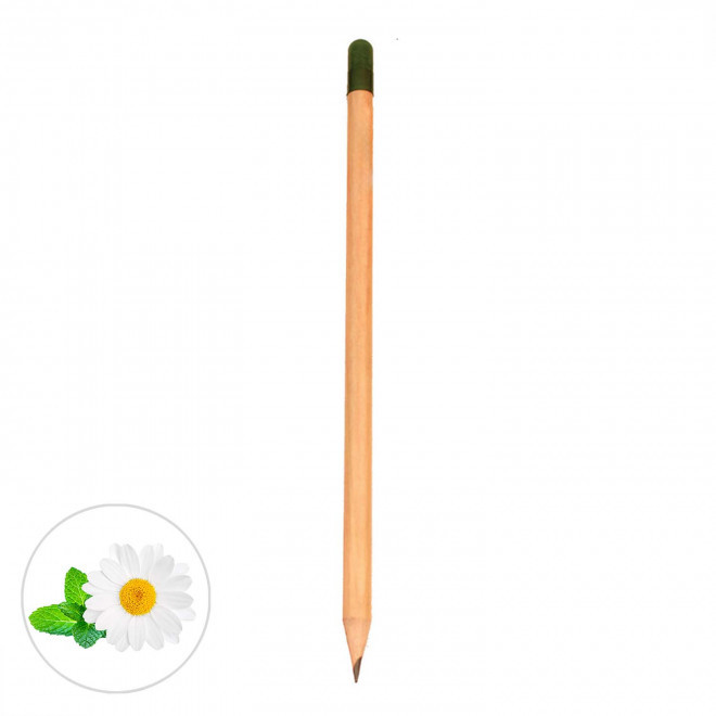 CRAYON A GRAINES PERSONNALISABLE 'SID' - camomille