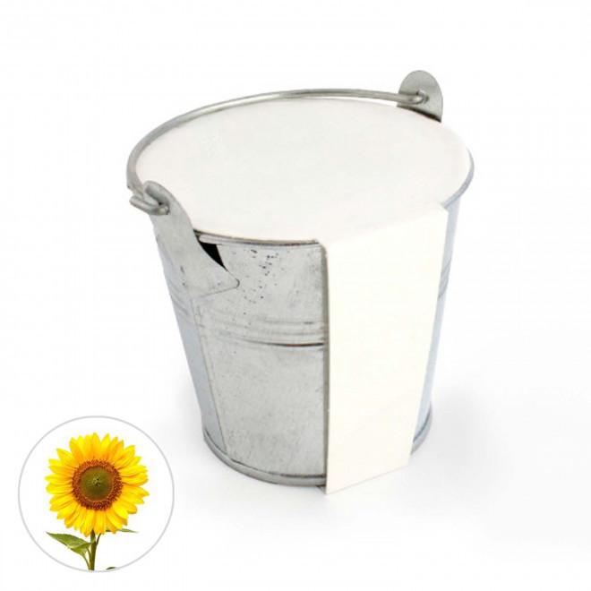 KIT PLANTATION POT ZINC MIF PUBLICITAIRE 8ø 'PLANTOU' - tournesol