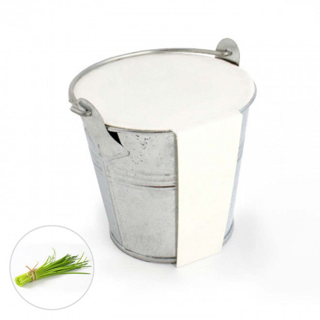 KIT PLANTATION POT ZINC MIF PUBLICITAIRE 8ø 'PLANTOU' - ciboulette