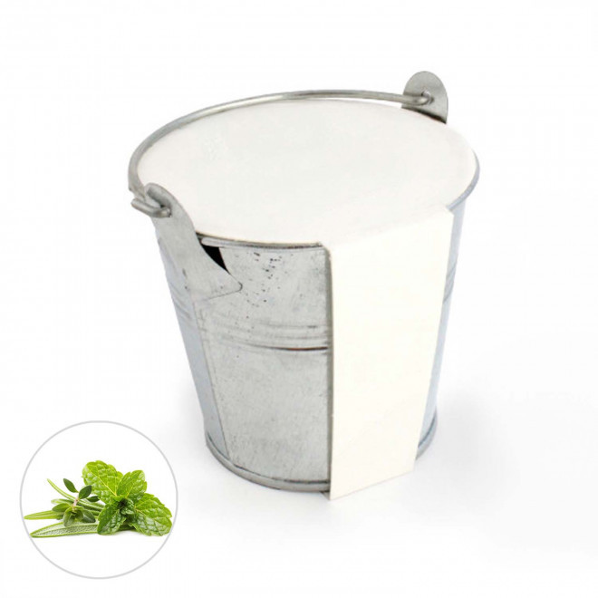 KIT PLANTATION POT ZINC MIF PUBLICITAIRE 8ø 'PLANTOU' - mélange aromatique