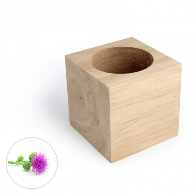 CUBE EN BOIS À GRAINES PERSONNALISÉ 'EPIA' - mimosa pudica