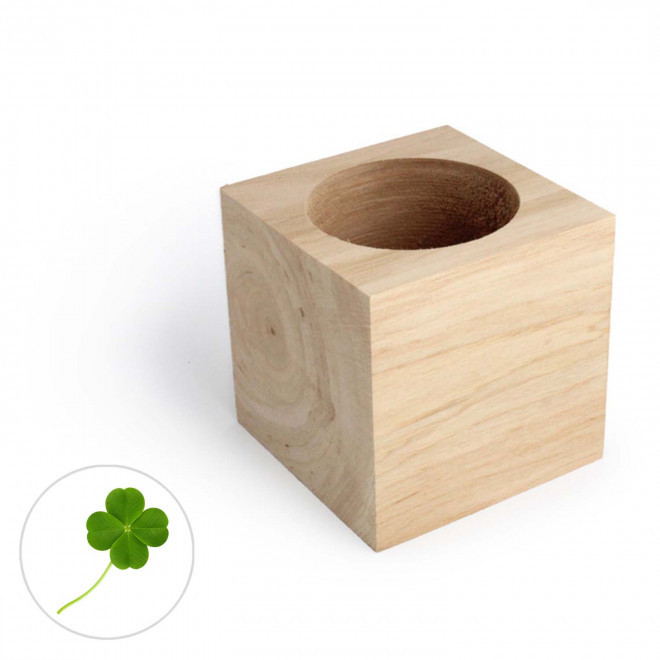CUBE EN BOIS À GRAINES PERSONNALISÉ 'EPIA' - trèfles à 4 feuilles