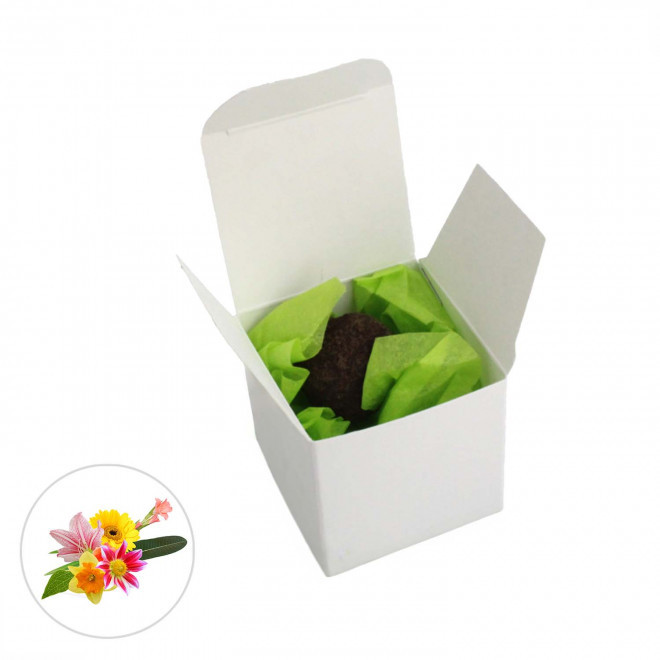 BOMBE À GRAINES PUBLICITAIRE 'BOULY' - mélange de fleurs