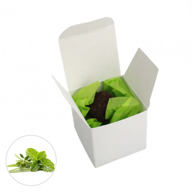 BOMBE À GRAINES PUBLICITAIRE 'BOULY' - mélange aromtique