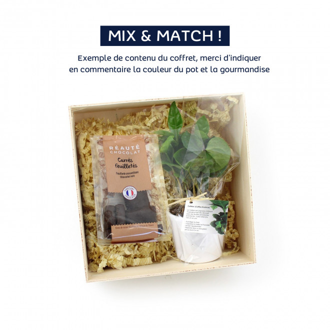 COFFRET DE PLANTE ET DE GOURMANDISE PERSONNALISABLE 'CAREX' - Mix and match