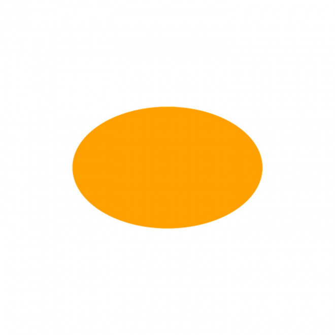 JETON DE FETES ET MANEGE PERSONNALISABLE 'FUNZY OVALE' - orange fluo