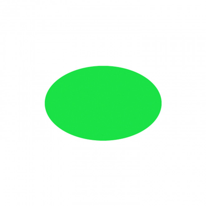 JETON DE FETES ET MANEGE PERSONNALISABLE 'FUNZY OVALE' - vert pomme