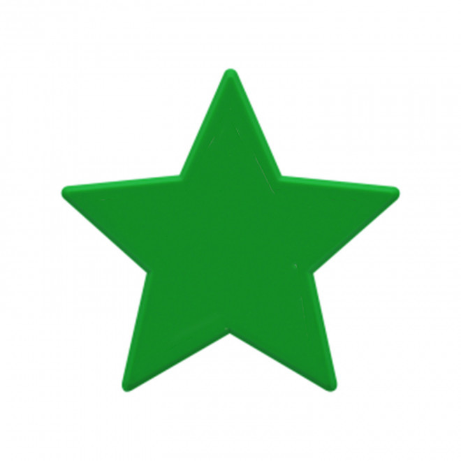 JETON DE FETES ET MANEGE PERSONNALISABLE 'FUNZY ETOILE' - vert clair - 9x9xcm