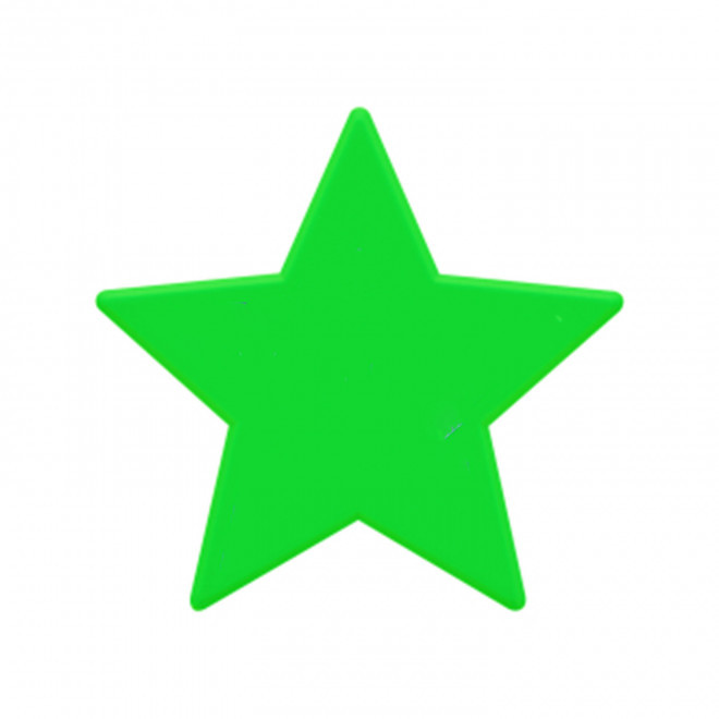JETON DE FETES ET MANEGE PERSONNALISABLE 'FUNZY ETOILE' - vert pomme - 9x9cm