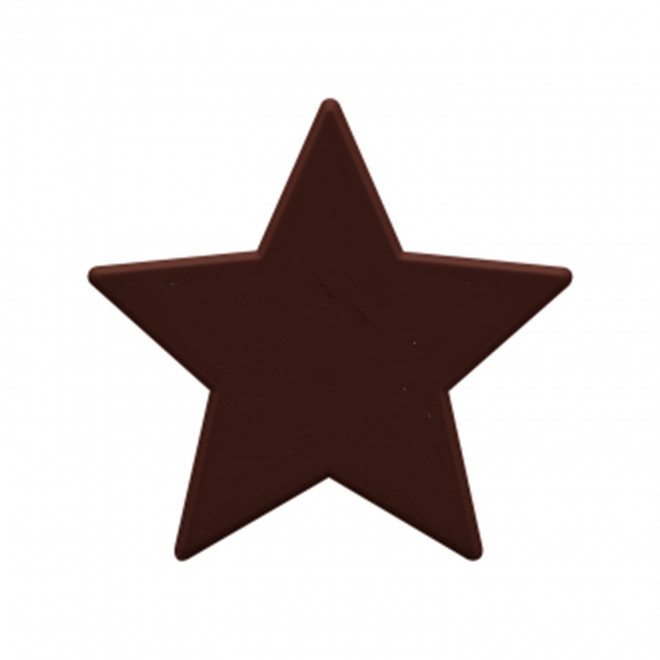 JETON DE FETES ET MANEGE PERSONNALISABLE 'FUNZY ETOILE' - marron - 9x9cm