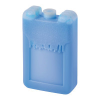 464740 | PAIN DE GLACE 'ICE'