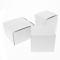 885086 | OPTION BOITE INDIVIDUELLE 'CELESTA'