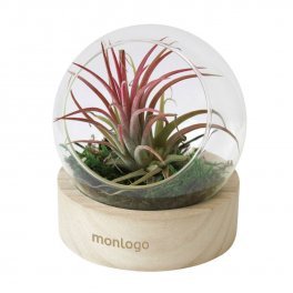 TERRARIUM PERSONNALISÉ EN VASE AVEC SOCLE EN BOIS 'RALINA'