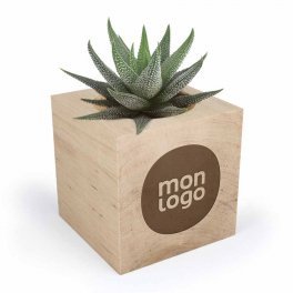 CUBE EN BOIS PERSONNALISABLE AVEC PLANTE OU ARBRE 'HARWOR'