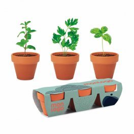 KIT DE PLANTATION PERSONNALISABLE 'POPPY QUADRI TRIO'