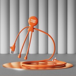 CABLE DE CHARGE PERSONNALISABLE 'MR BIO LONG FAST 60W'
