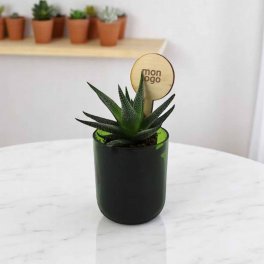 PLANTE POT EN BOUTEILLE RECYCLE PERSONNALISEE 'PINO'