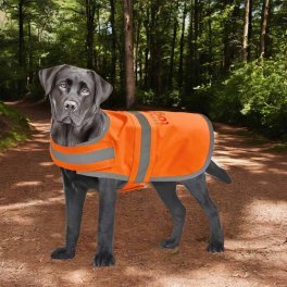 GILET DE VISIBILITE CHIEN PERSONNALISABLE 'FLUOSAFE DOG'