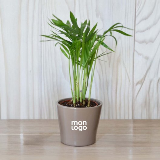 MINI PLANTE EN POT CERAMIQUE PERSONNALISABLE 'LIMIFO'