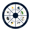 DISQUE PEDAGOGIQUE PERSONNALISABLE 'DISCO FULL'