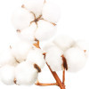TOUR DE COU PERSONNALISABLE EN COTON BIO AVEC CLIPS 'SERPA'