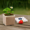 KIT PLANTATION PUBLICITAIRE SACHET PAPIER BLANC 'MUNDA QUADRI' 