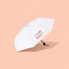 PARAPLUIE PLIANT PERSONNALISABLE 'BOURGOU'