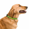 COLLIER PERSONNALISABLE POUR ANIMAUX  'FRIZON'