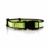 COLLIER PERSONNALISABLE POUR ANIMAUX  'FRIZON'