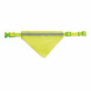 COLLIER VISIBILITE ANIMAUX PERSONNALISABLE 'DOGGY'