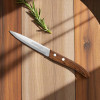 COUTEAU DE TABLE PERSONNALISABLE EN ABS 'NOTORI'