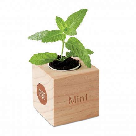 KIT DE PLANTATION CUBE EN BOIS PERSONNALISABLE 'HAZIA'