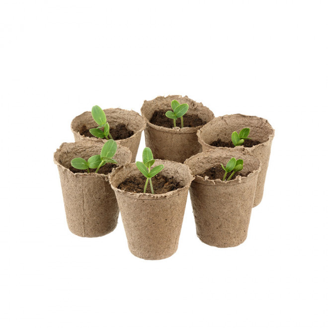 SACHET DE GRAINES PERSONNALISABLE 'SEEDY'