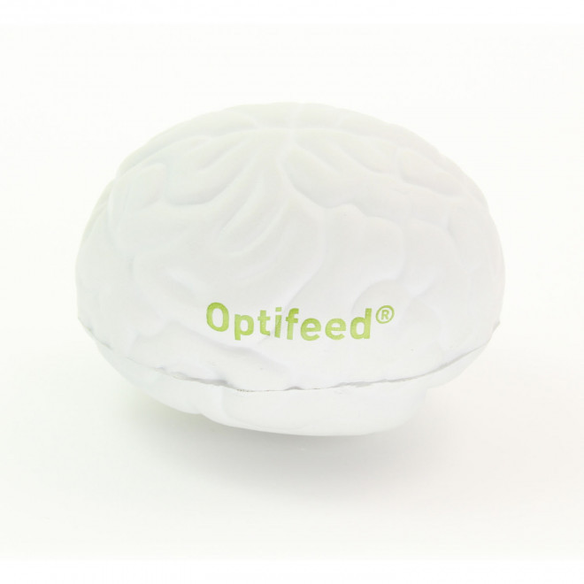 ANTI STRESS BRAIN PERSONNALISE 'STRESSKOOL BRAIN'