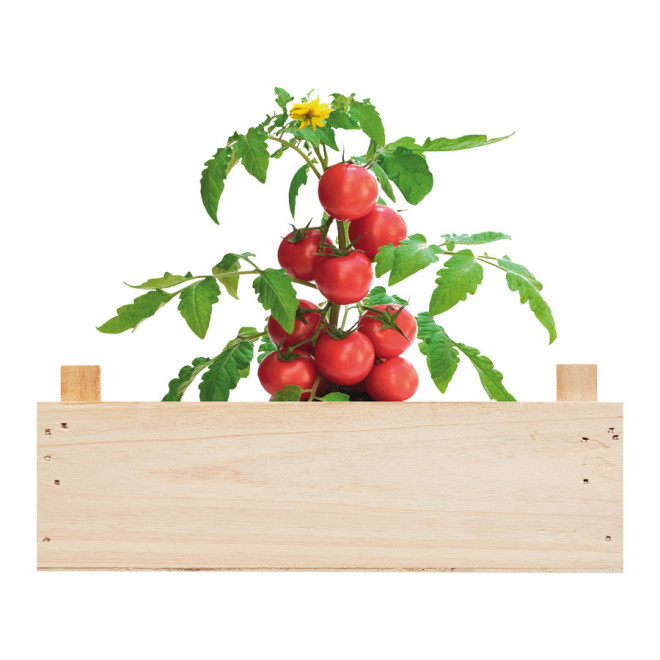 KIT DE CULTURE PERSONNALISÉ 'PLANTATIO'