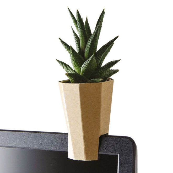 KIT DE PLANTATION PERSONNALISÉ EN KRAFT 'PLANTAE'