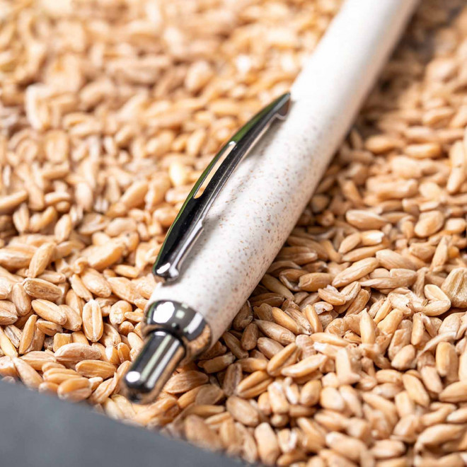 STYLO PERSONNALISABLE 'RIO BLE'