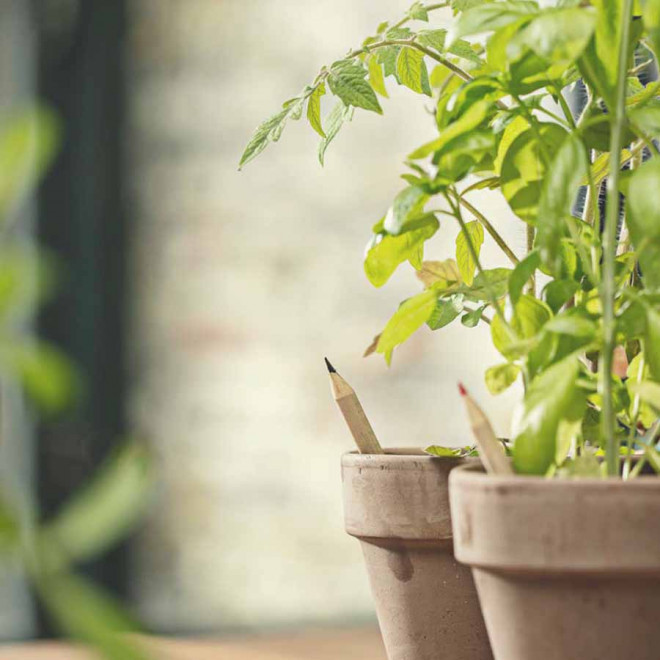 CRAYON GRAINES CARTONETTE PERSO 'POUSS'   