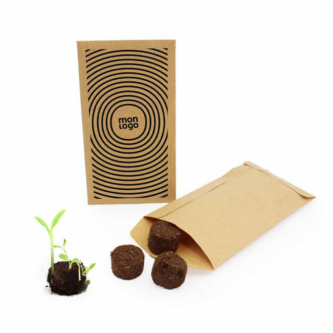 SACHET PERSONNALISABLE DE 3 PALETS A GRAINES 'FLEURIS' 