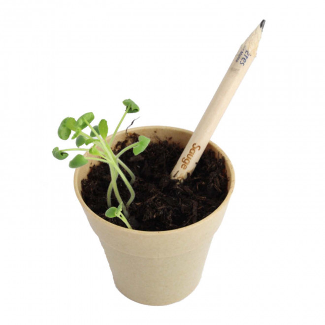 CRAYON GRAINES PERSONNALISÉ CARTONNETTE 'POUSS'