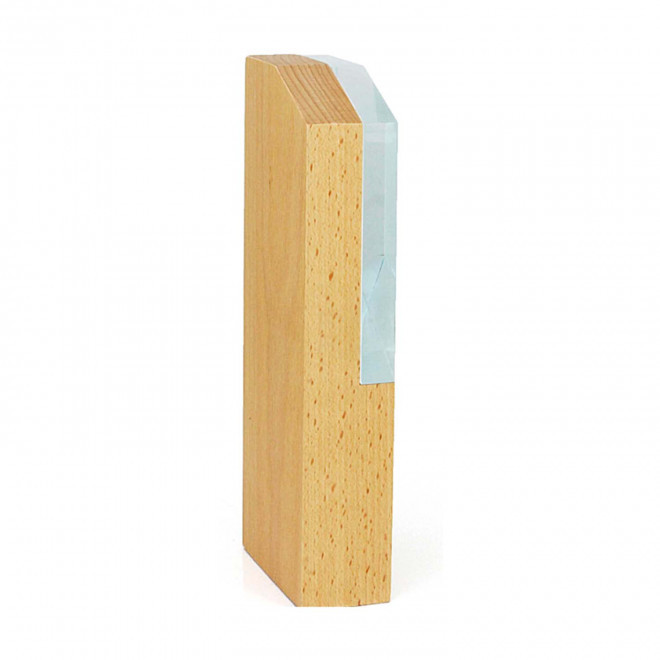 TROPHEE EN BOIS ET VERRE PERSONNALISE 'KAYNA QUADRI'