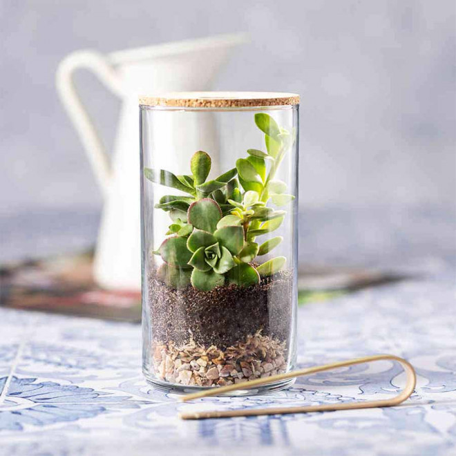 TERRARIUM PERSONNALISÉ 'TERRARI' 