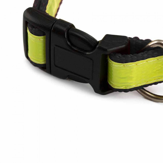 COLLIER PERSONNALISABLE POUR ANIMAUX  'FRIZON'