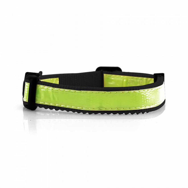 COLLIER PERSONNALISABLE POUR ANIMAUX  'FRIZON'