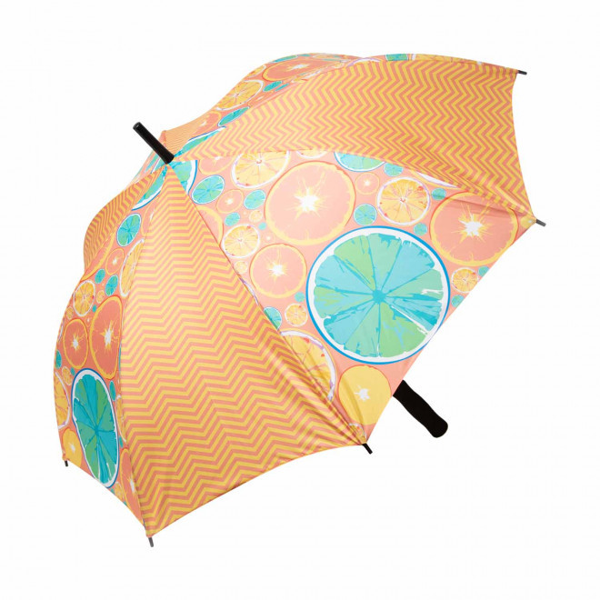 PARAPLUIE DROIT PERSONNALISABLE 'PARACOLOR EUROPE'