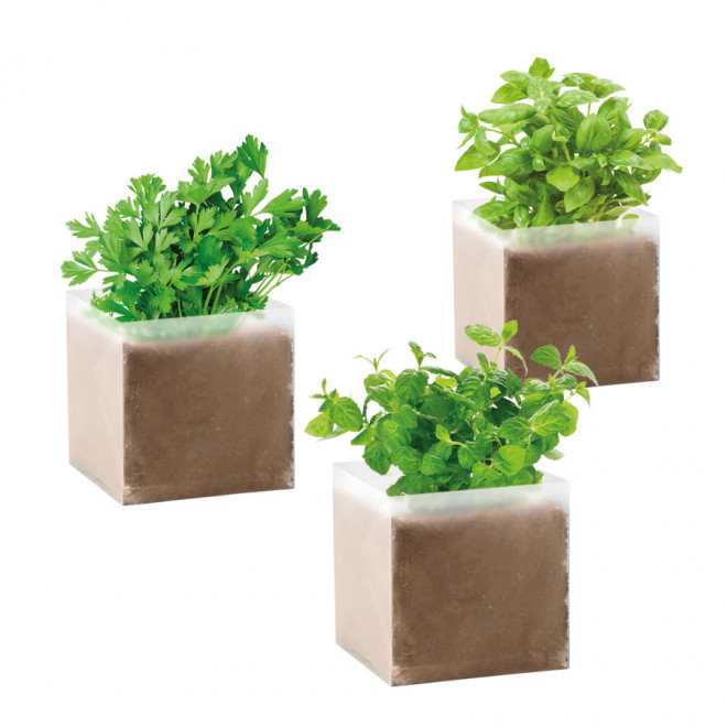 KIT DE PLANTATION PERSONNALISABLE EN SACHET DÉPLIABLE 'MUNDA'