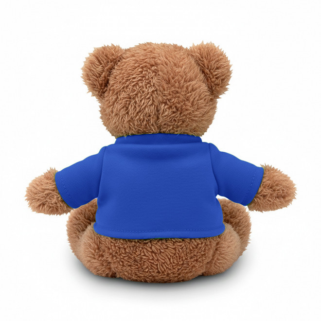 PELUCHE OURSON PERSONNALISABLE 'TEDDY T SHIRT'